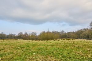 Photo 36- click for photo gallery